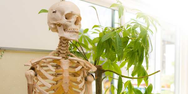 整骨カイロプラティック科